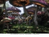 ALICE IN WONDERLAND ALICE IN WONDERLAND