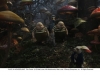 ALICE IN WONDERLAND ALICE IN WONDERLAND
