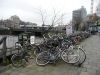 foto1gde