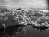 tn_79051573_0