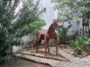 imagen-180