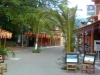 ixtapa7 ixtapa7