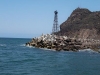 imagen-100