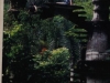 arquitectura-fantastica-y-selvatica-en-las-pozas-b
