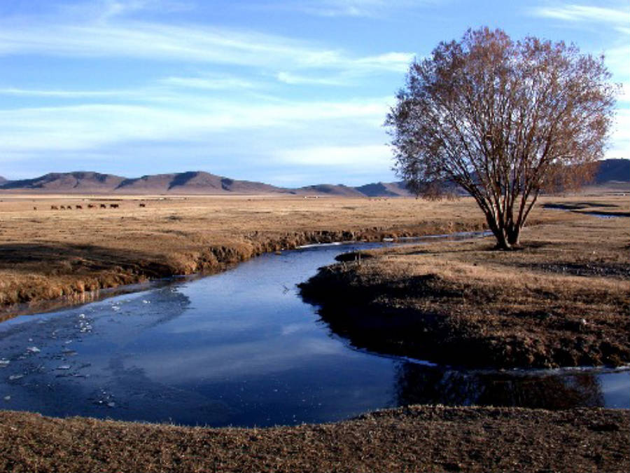 Bulgan_Mongolia_98_900x675