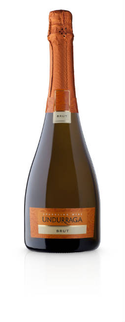 Copia de VINTAGE BRUT ALTA_254x651