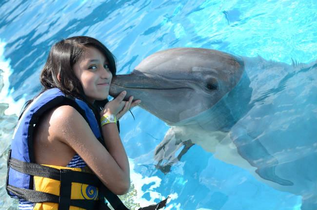 Un súper regalo para los niños: nado con delfines