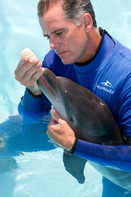 SeaWorld Orlando Wild Days_Sea Rescue