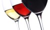 VINO
