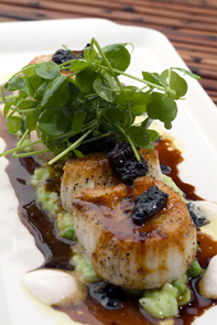 acconleys-seared-sea-scallop-2006_2