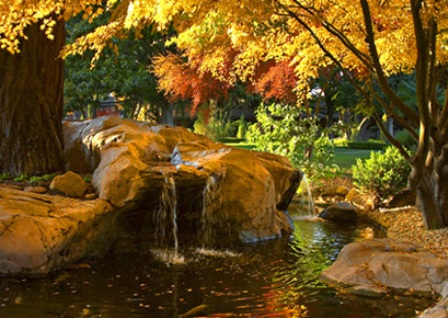 fallcolors-paso-robles fallcolors-paso-robles