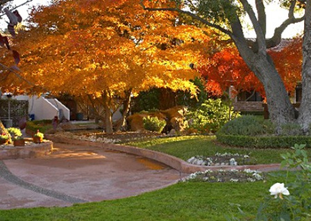 garden-paso-robles garden-paso-robles