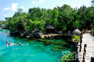 iixel-ha iixel-ha