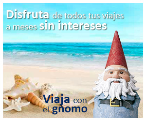 meses sin intereses