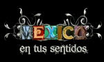 mexico-en-tus-sentidos-aaa mexico-en-tus-sentidos-aaa